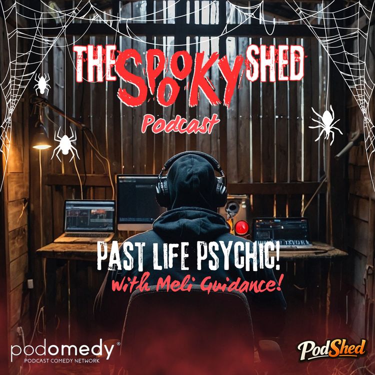 cover art for Past Life Psychic! Meli Guidance! 