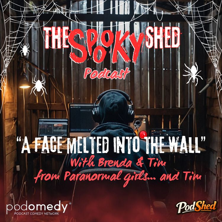 cover art for A Face Melted Into The Wall... With Brenda & Tim!