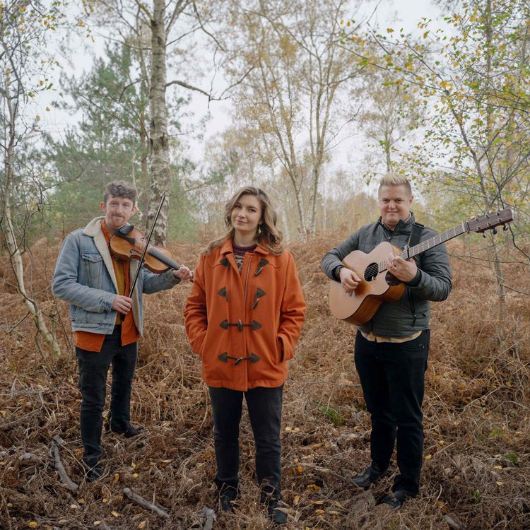 cover art for The Wilderness Yet on Iping Common