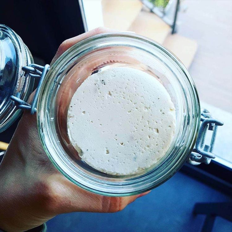 cover art for QUESO DE ANACARDOS FERMENTADO