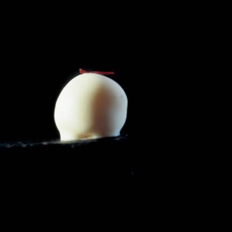 cover art for bombón de chocolate blanco y azafrán