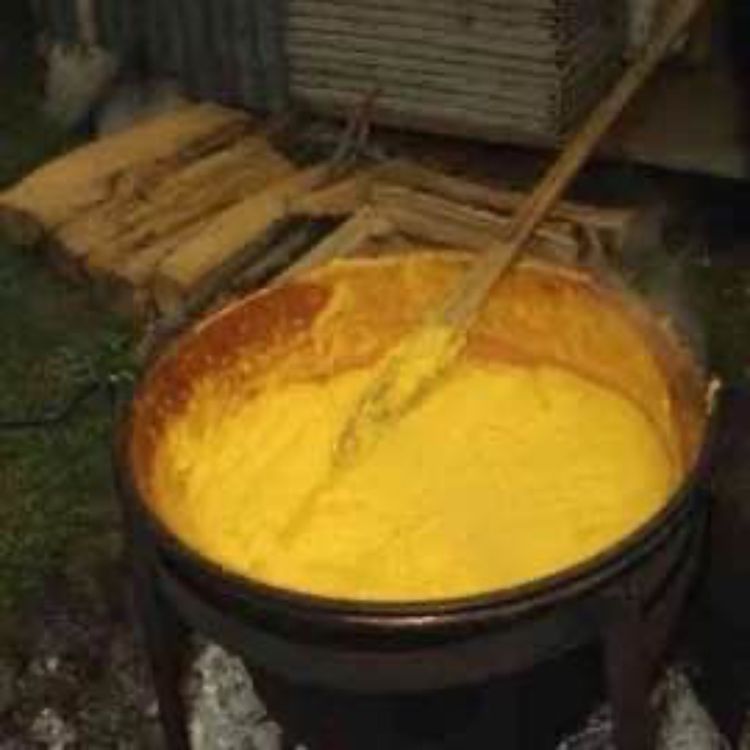 cover art for PULS PUNICA (GACHAS CARTAGINESAS)