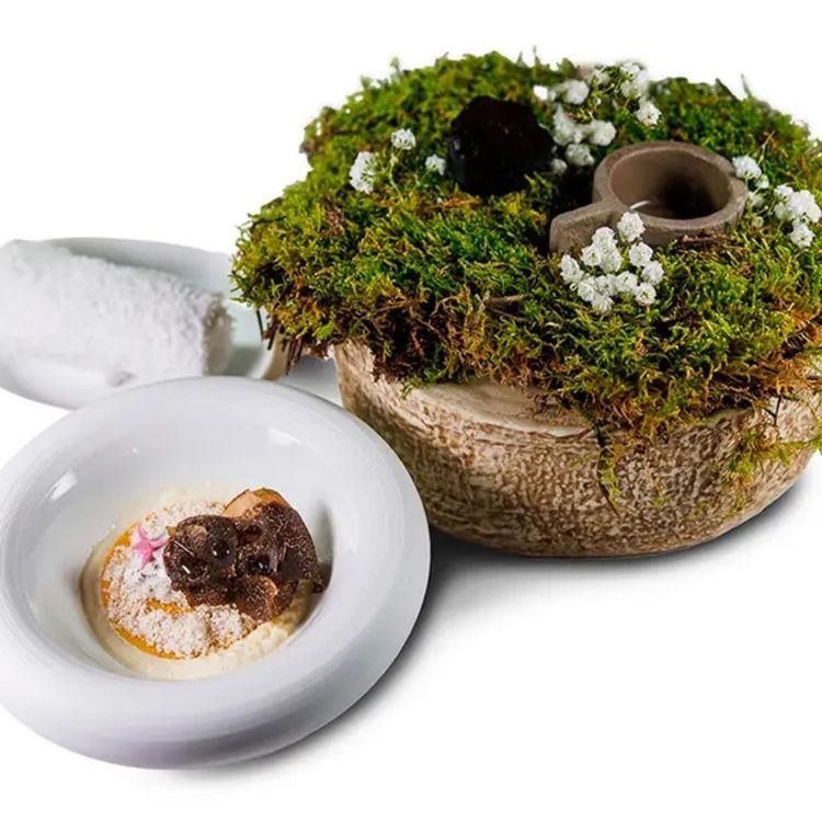 cover art for Trufa, pera y mascarpone de Diego Duarte, plato ganador del Concurso Cocinando con trufa