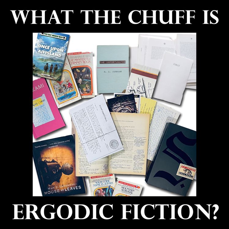 cover art for S4 Ep19: Ergodic Fiction