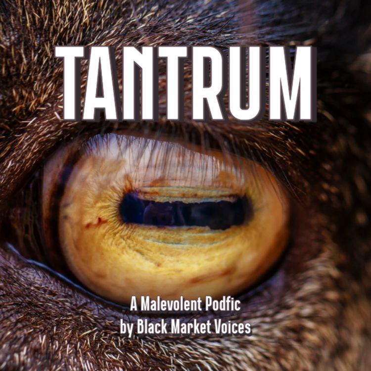 cover art for Episode 14: "Tantrum"