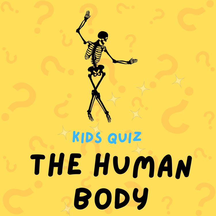cover art for The Human Body