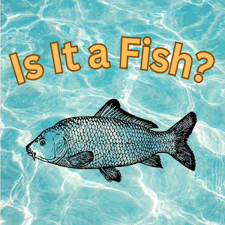 cover art for Is It a Fish? Bonus Episode 1