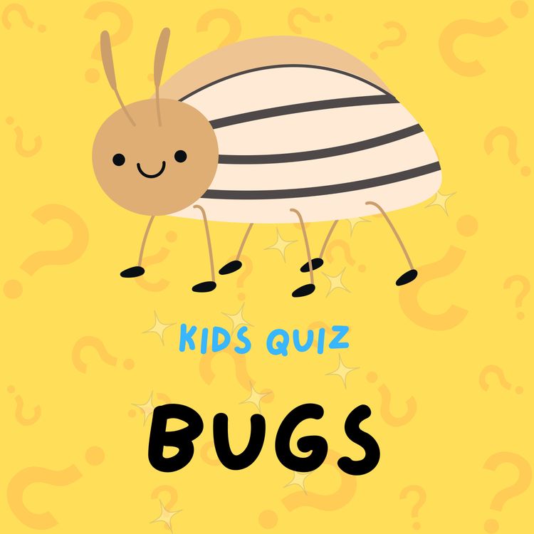 cover art for Bugs