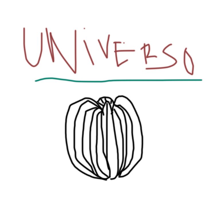 cover art for ¿Qué es el universo?