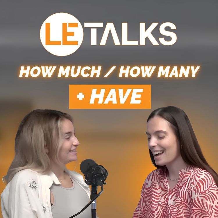 cover art for How much / How many + have - A1.18