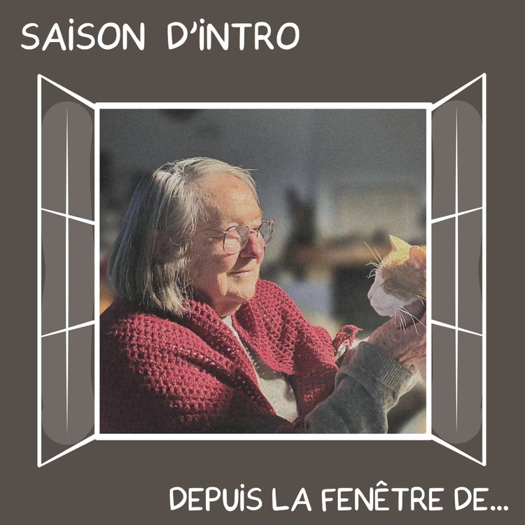 cover art for Noëlle, 86 ans, Dahouët, a vu l'évolution de la pêche industrielle et du port