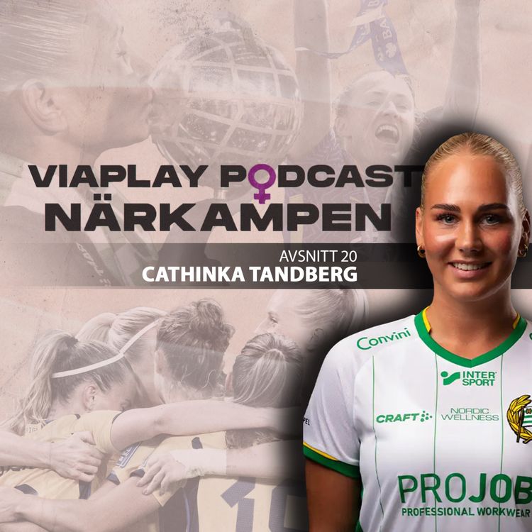 cover art for 20. Cathinka Tandberg - "Sk*ter i Jantelagen"