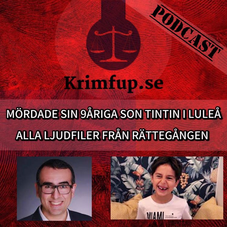 cover art for Ljudfiler från rättegången i Luleå om mordet på 8åriga Tintin - Michaela - Vittne
