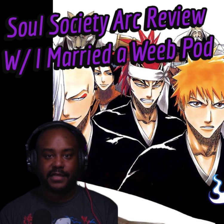 cover art for Bleach Soul Society Arc Review 
