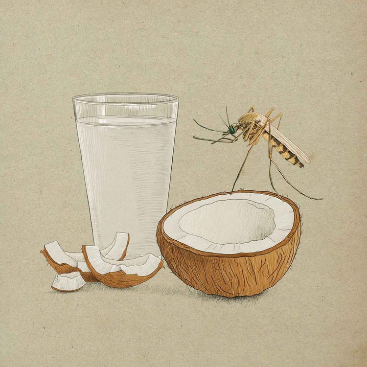 cover art for El dengue no se cura con agua de coco