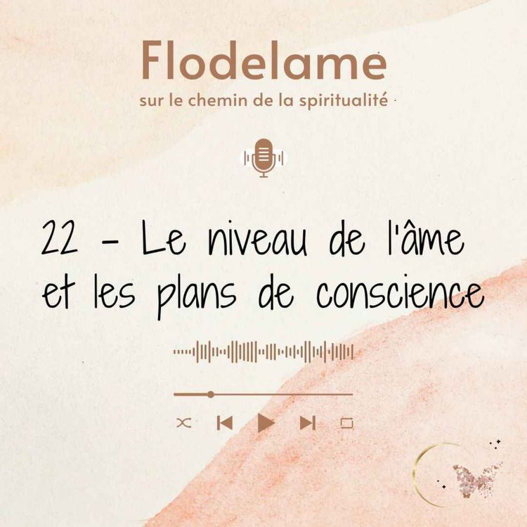 cover art for 22 - Le niveau de l'âme et les plans de conscience