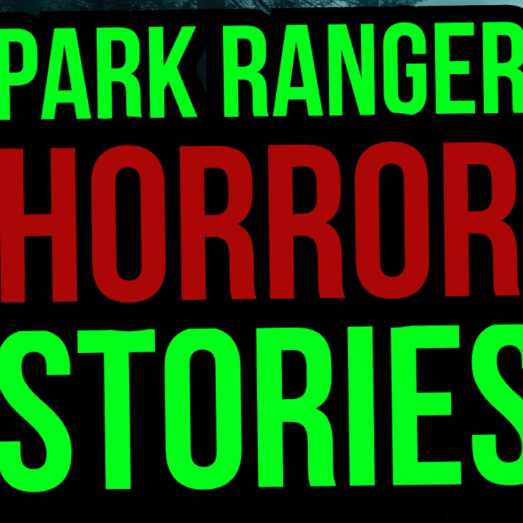 cover art for 5 TRUE SCARY PARK HORROR STORIES