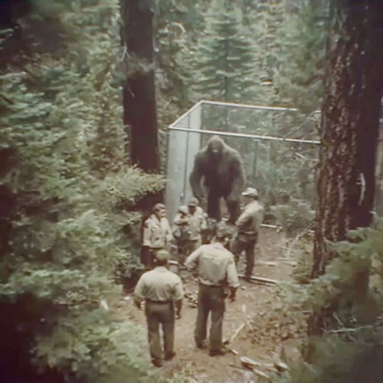 cover art for 18 TRUE SCARY HUNTING HORROR STORIES