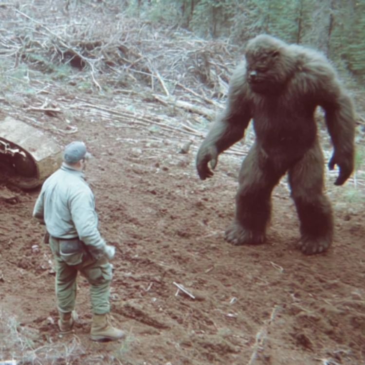 cover art for 7 TRUE SCARY CREATURE ENCOUNTER HORROR STORIES