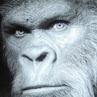 BIGFOOT HUNT GONE WRONG - Hunter’s Remains and Disturbing Photos Found