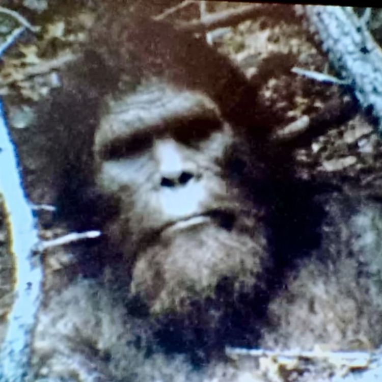 cover art for 3 TRUE SCARY ALONE AT NIGHT HORROR STORIES