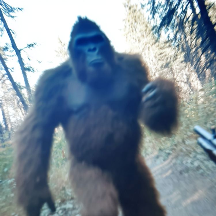 cover art for U.S Navy SEALS SPILLS the BEANS about CREATURES They KILLED In North Carolina Mountains