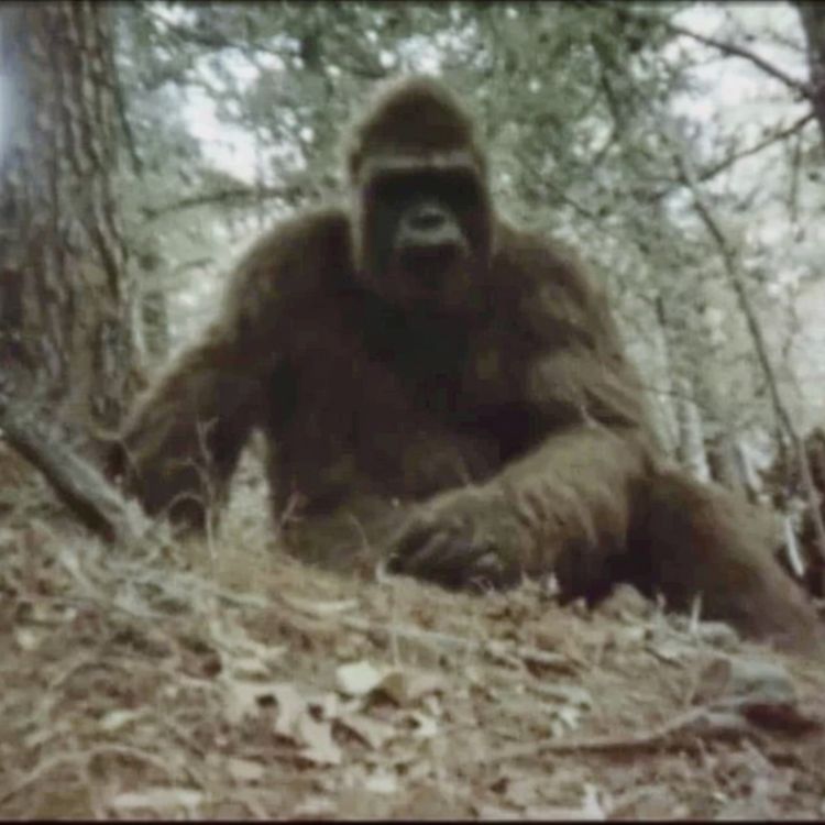 cover art for They Are Not From This World. THIS Shouldn't Exist