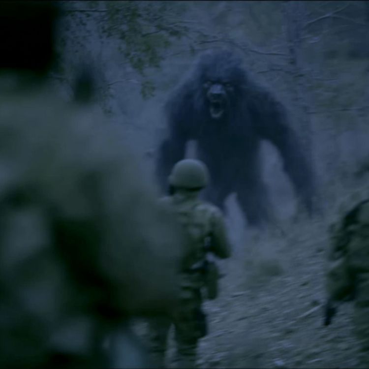 cover art for U.S Navy SEAL WARNS US. These THINGS Are ELIMINATING Us in the Appalachian Mountains