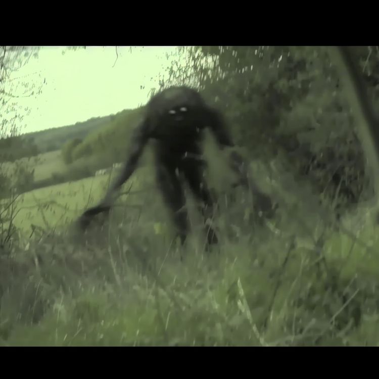 cover art for U.S Navy SEAL WARNS. These CREATURES Have Infested Our National Forests and Parks