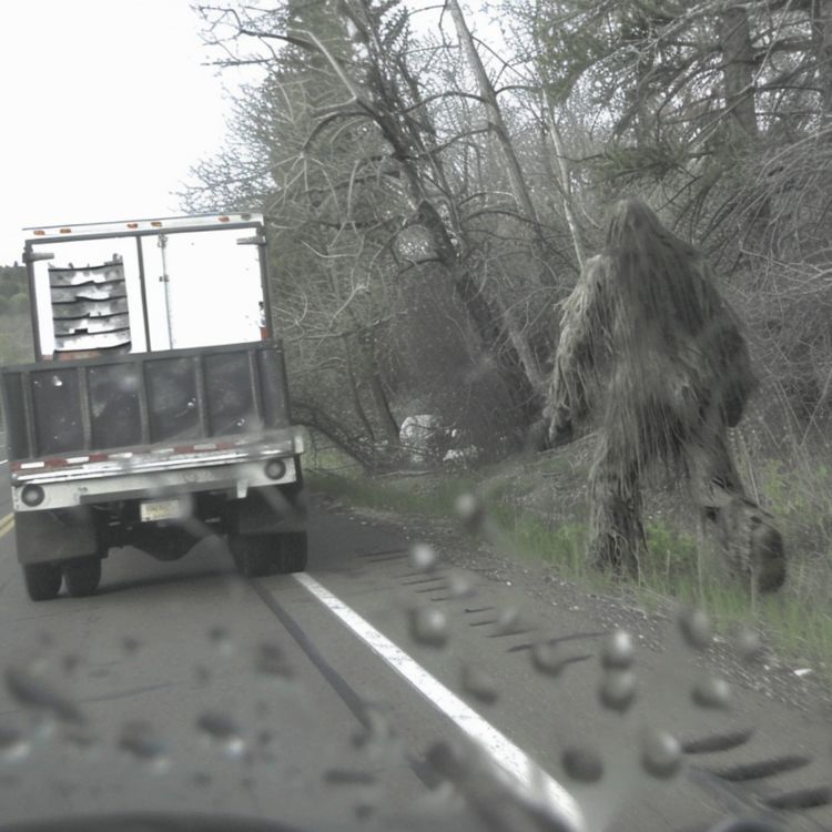 cover art for LAKOTA NATIVE WARNS US. There Is A NEST Of Cryptids in ALASKA.