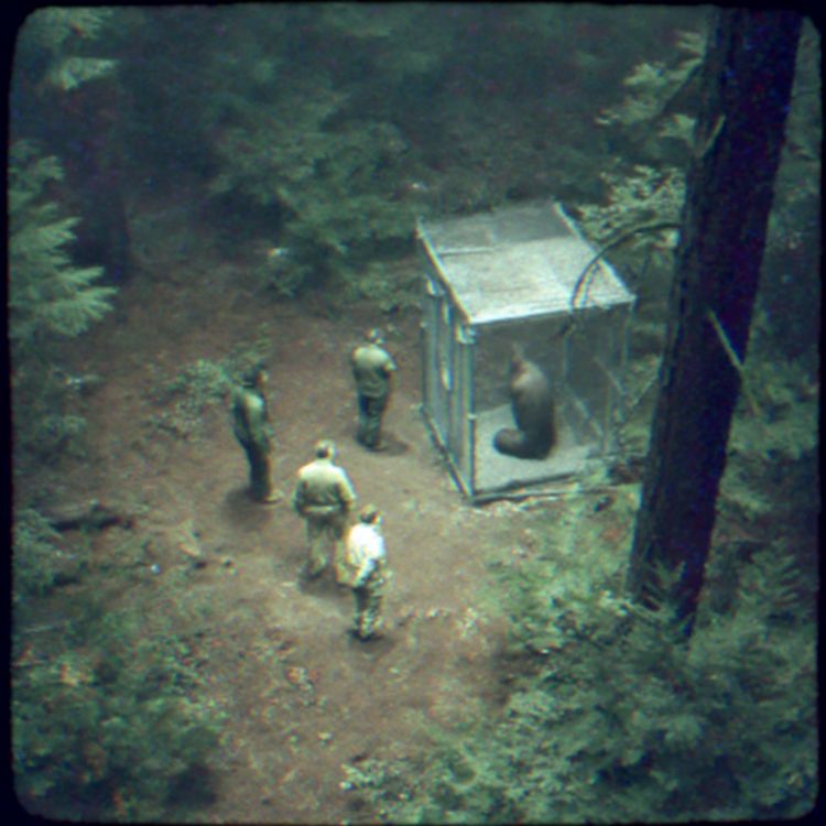 cover art for Nostradamus Predicted The Iran War — And What Comes Next Is Terrifying