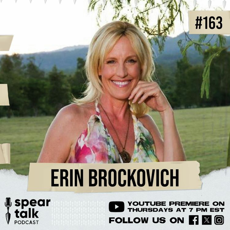 cover art for Erin Brockovich