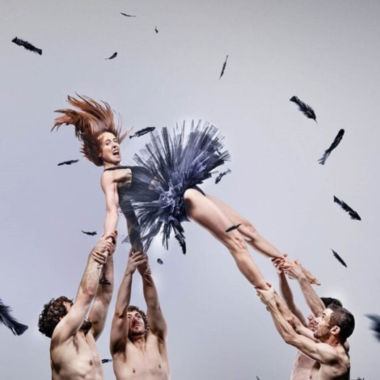 cover art for New Year, New Season of Theatre  - Duckpond, Slava's Snowshow, Twelfth Night & Why Am I So Single?