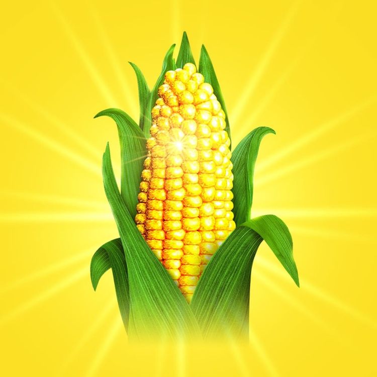 cover art for Shucked, Faygele, Stiletto & The Devil Wears Prada