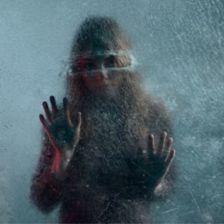 cover art for Let the Right One In and a close up look at NYT