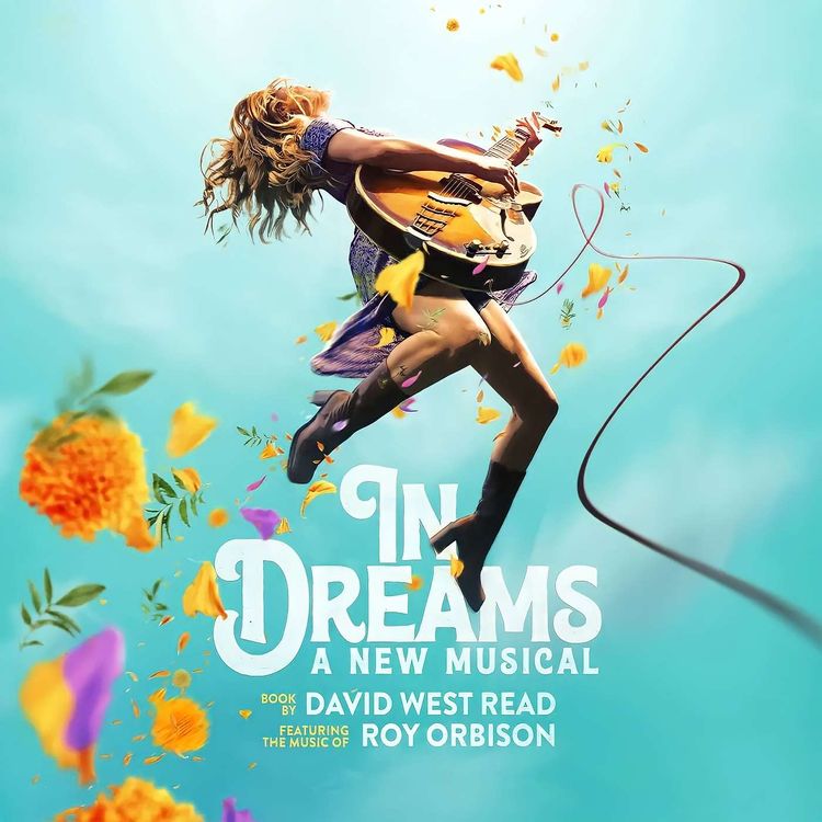 cover art for Spotlight: Tony Award winning Broadway star Lena Hall on Roy Orbison inspired musical 'In Dreams'.