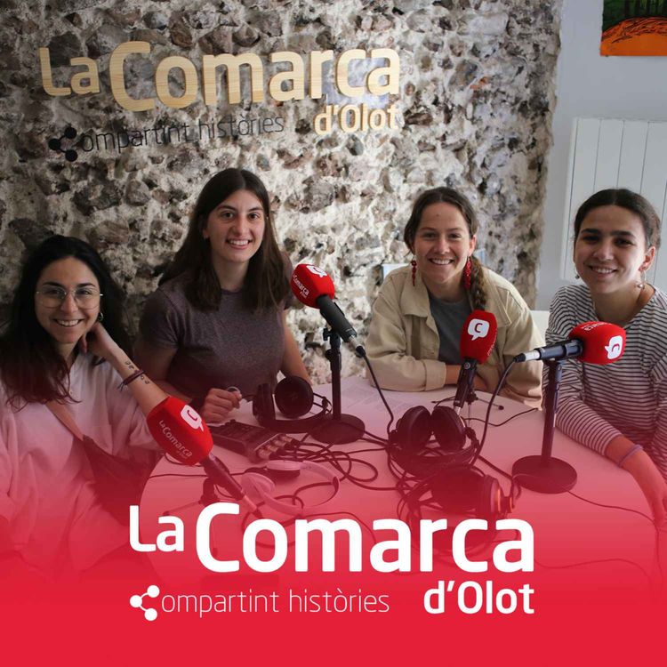 cover art for Capítol 4. Jo ho dic així