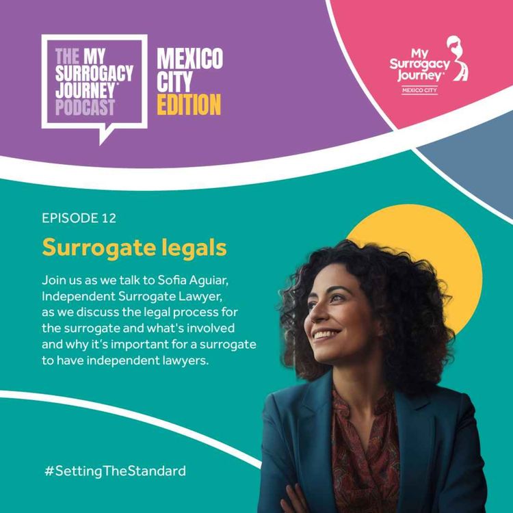 cover art for S1 Ep12: Surrogate legals