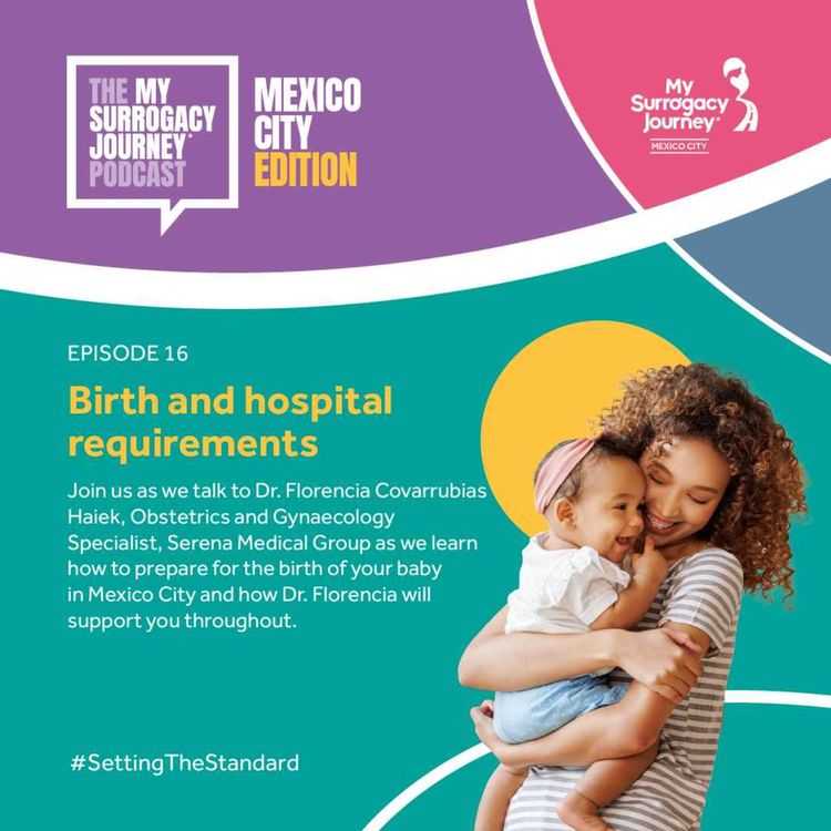 cover art for S1 Ep16: Birth and hospital requirements