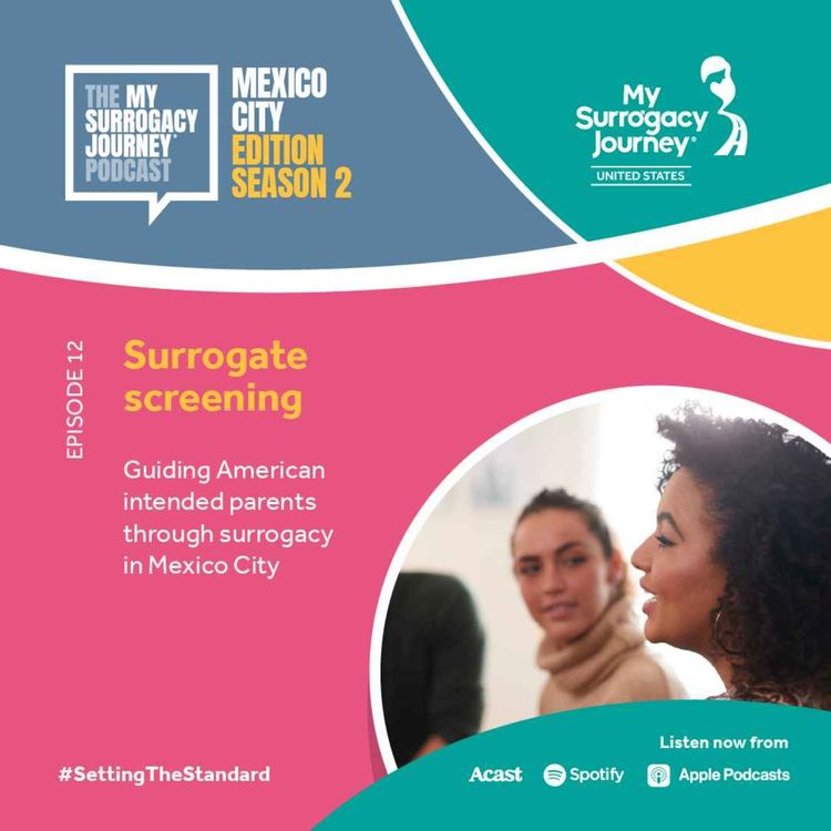 cover art for S2, Ep 12 - Surrogate screening