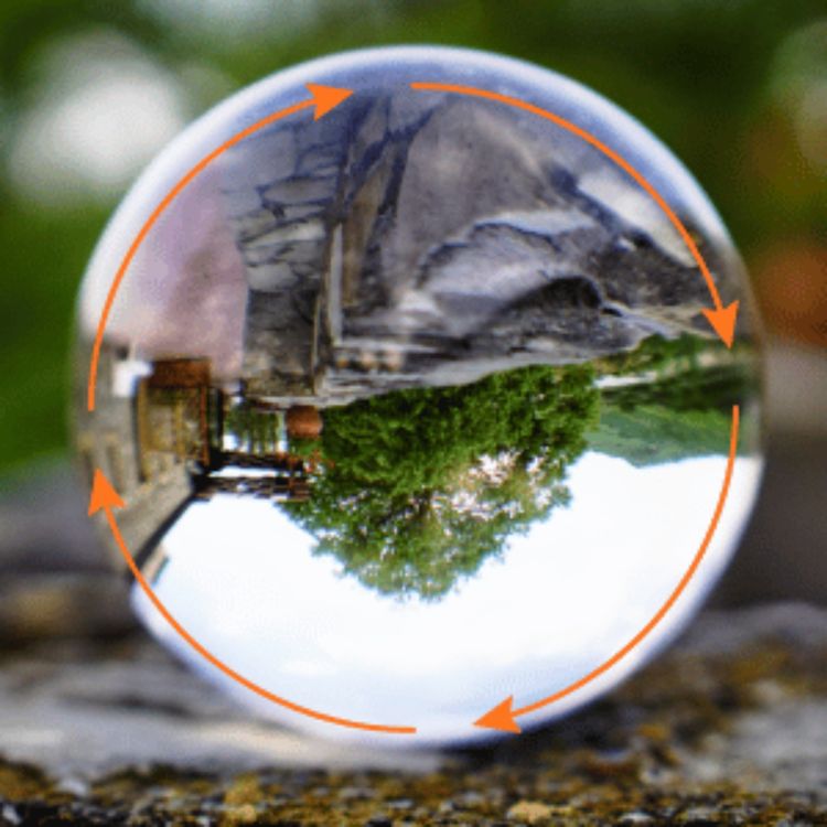 cover art for Why Scapegoats Doubt Their Own Memories