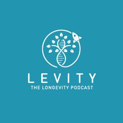 cover art for LEVITY