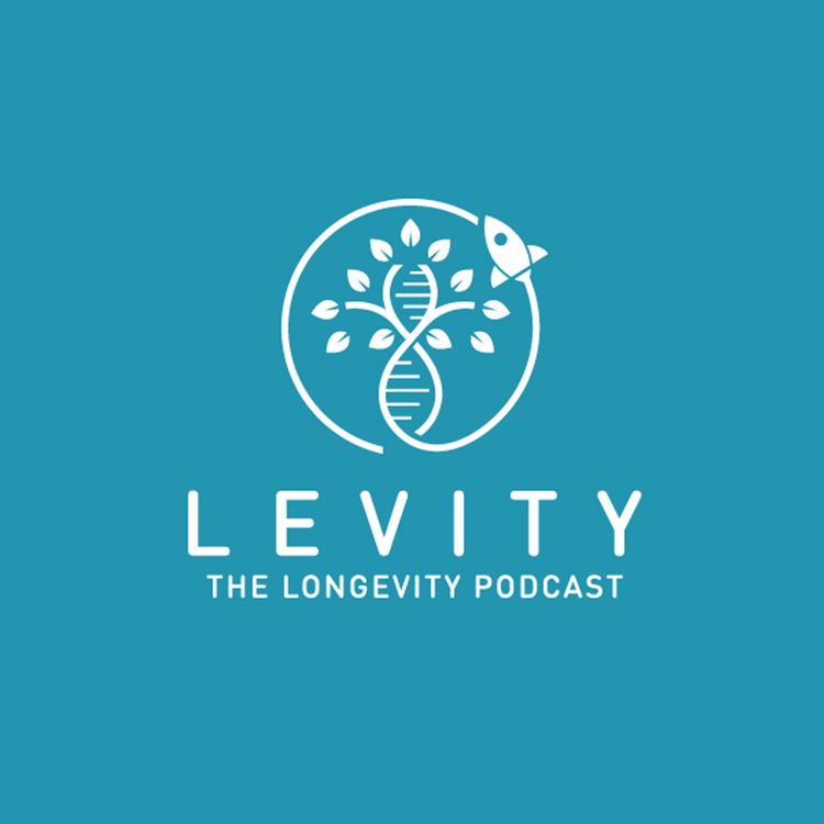 cover art for This is the LEVITY podcast!