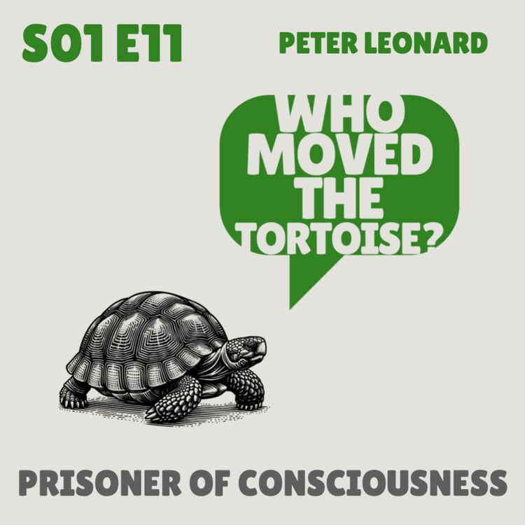 cover art for Prisoner of Consciousness - with Peter Leonard