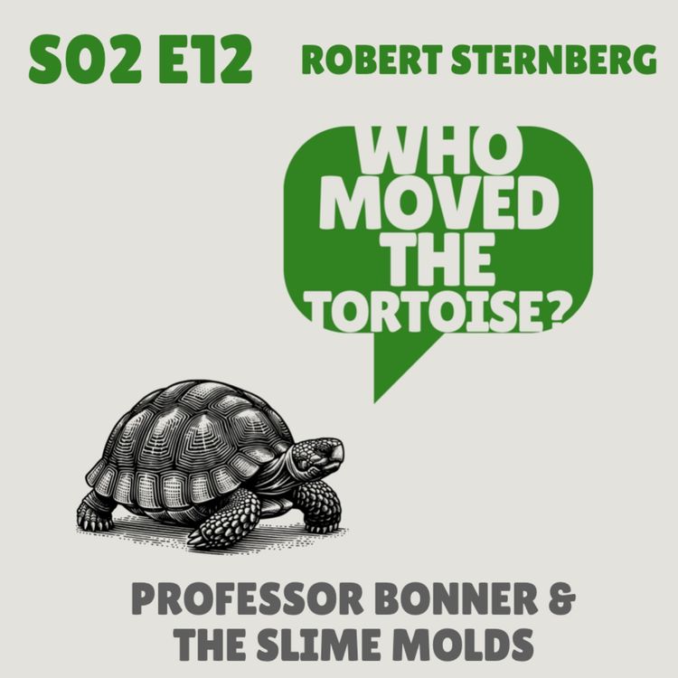 cover art for Professor Bonner & the Slime Molds - with Robert Sternberg