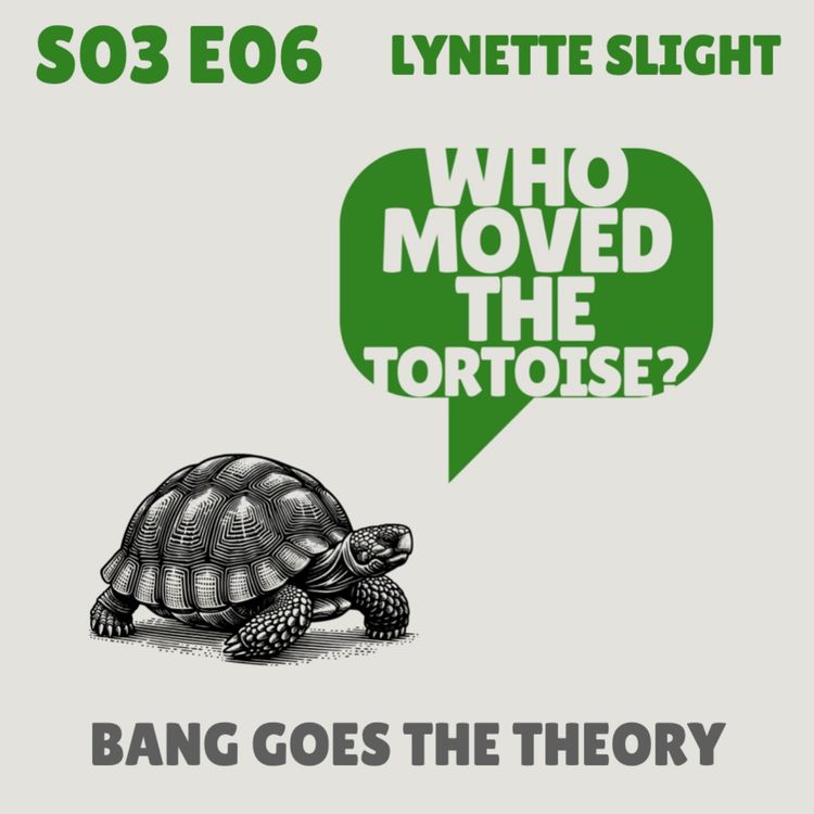 cover art for Bang Goes the Theory (again!) - with Lynette Slight
