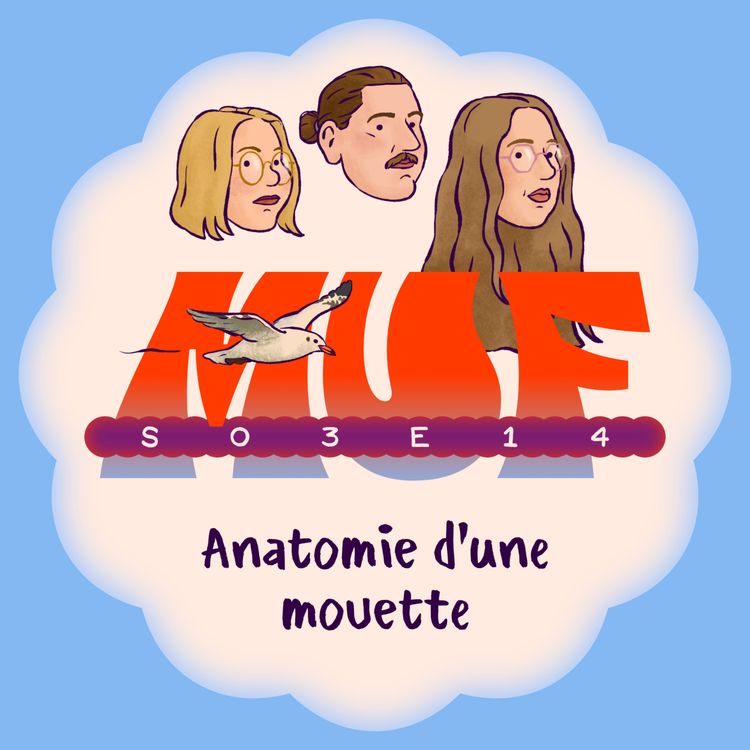 cover art for S03E14 • Anatomie d'une mouette