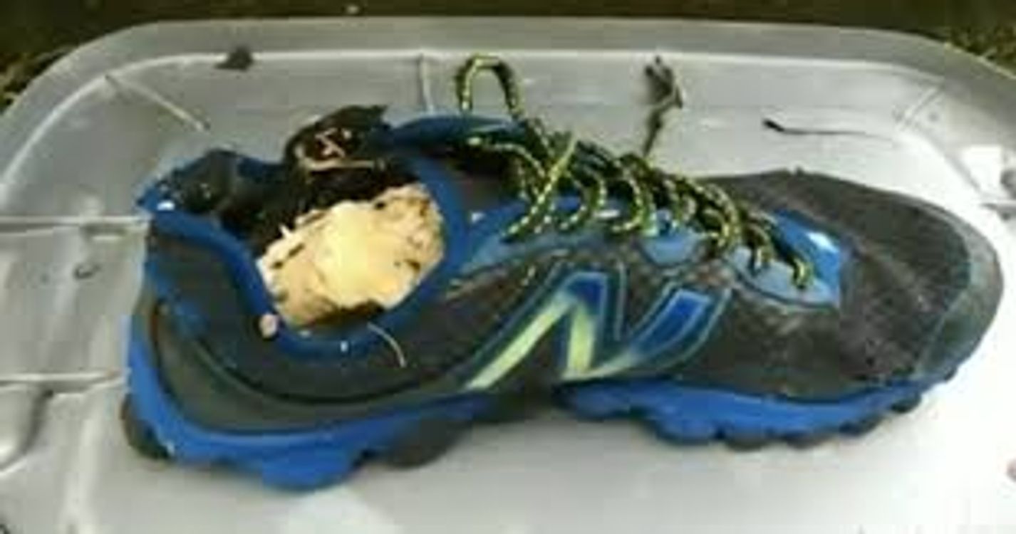 cover art for Episode 78: Something is Afoot on the Salish Sea...