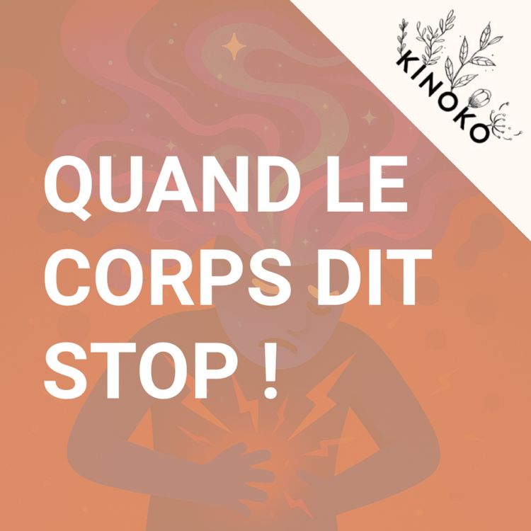 cover art for 48 • Médiation difficile, corps incertain, espoir fragile — Journal Audio #4