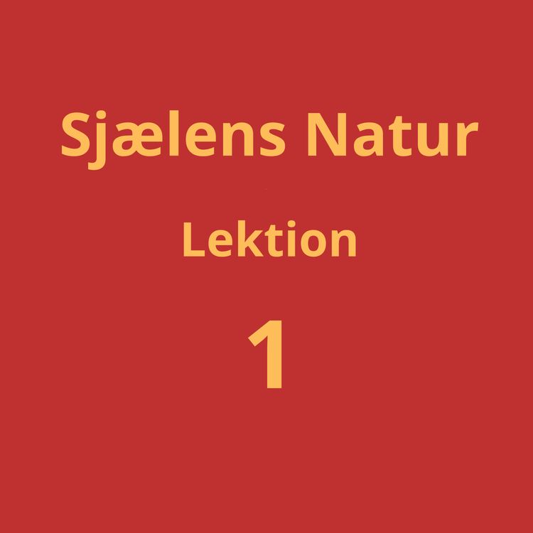 cover art for Lektion 1